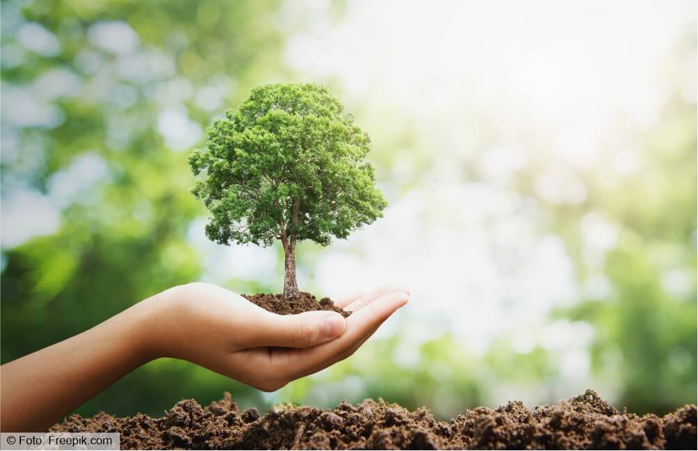 AMBB e Polícia Militar dão início à Rede de Comerciantes Protegidos