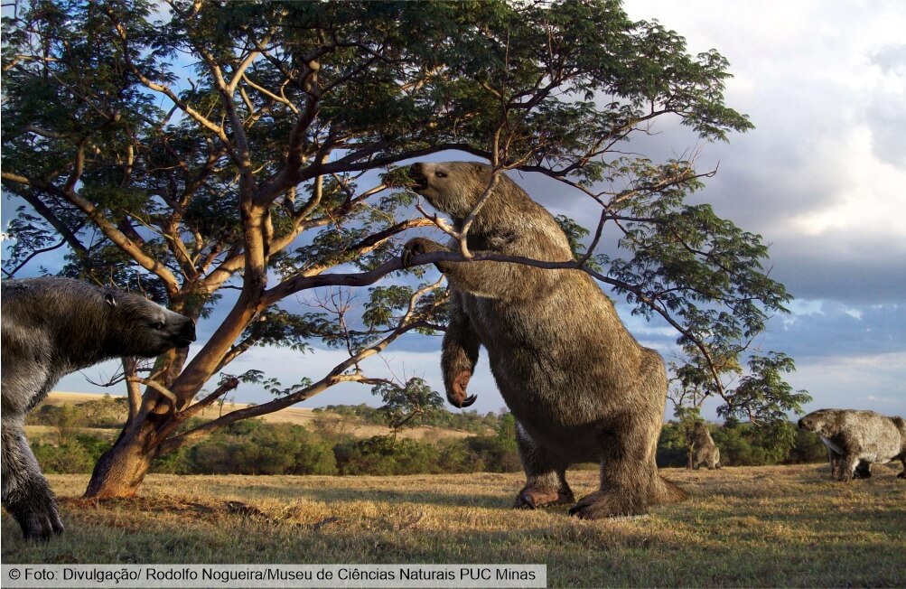 Serra do Gandarela abriga caverna utilizada como abrigo por preguiças gigantes pré-históricas