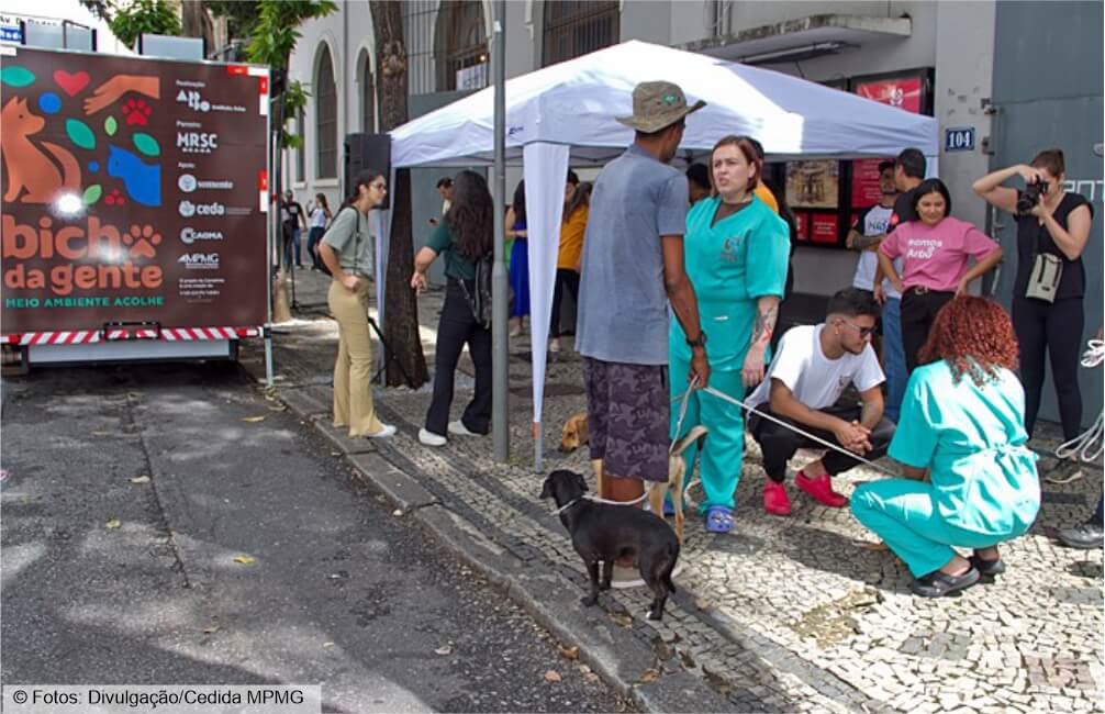 MPMG lança projeto que acolhe animais que estão com as pessoas em situação de rua
