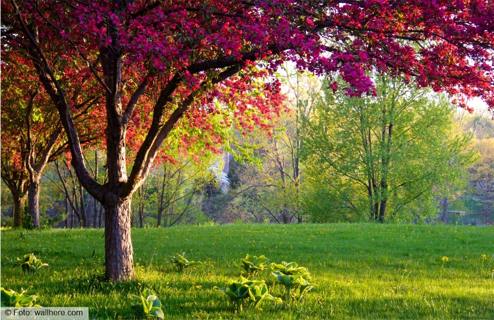 Qualidade comprovada