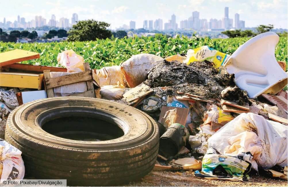 Dengue: um desequilíbrio do meio ambiente