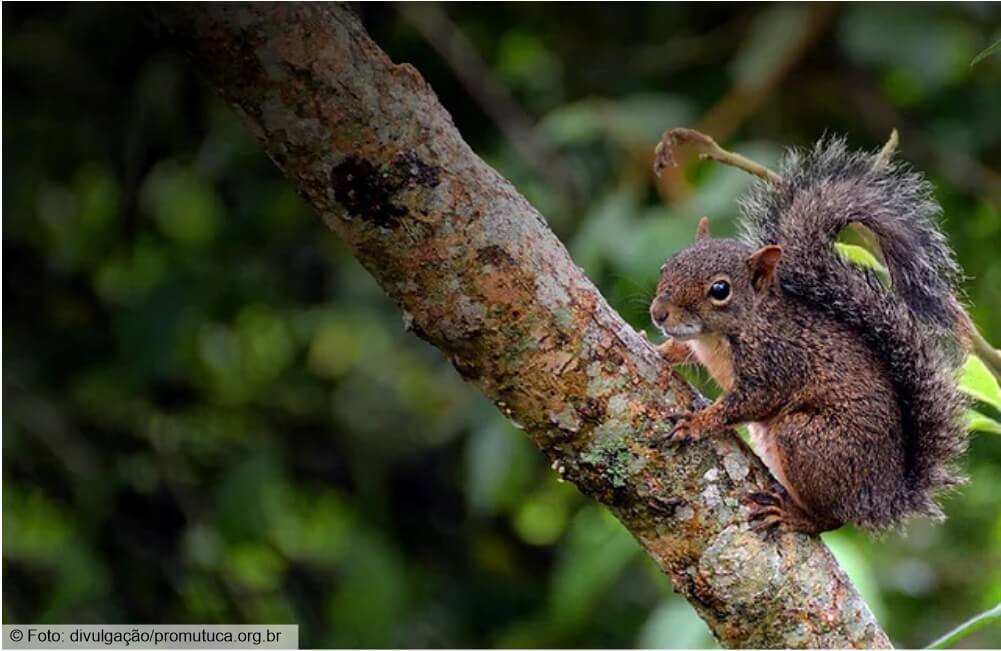 Eu, salvadora do Planeta