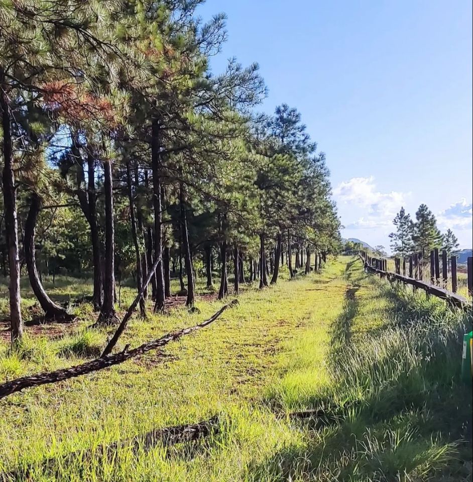 UNIVIVA manifesta apoio ao acordo sobre área verde, conduzido pelo MPMG
