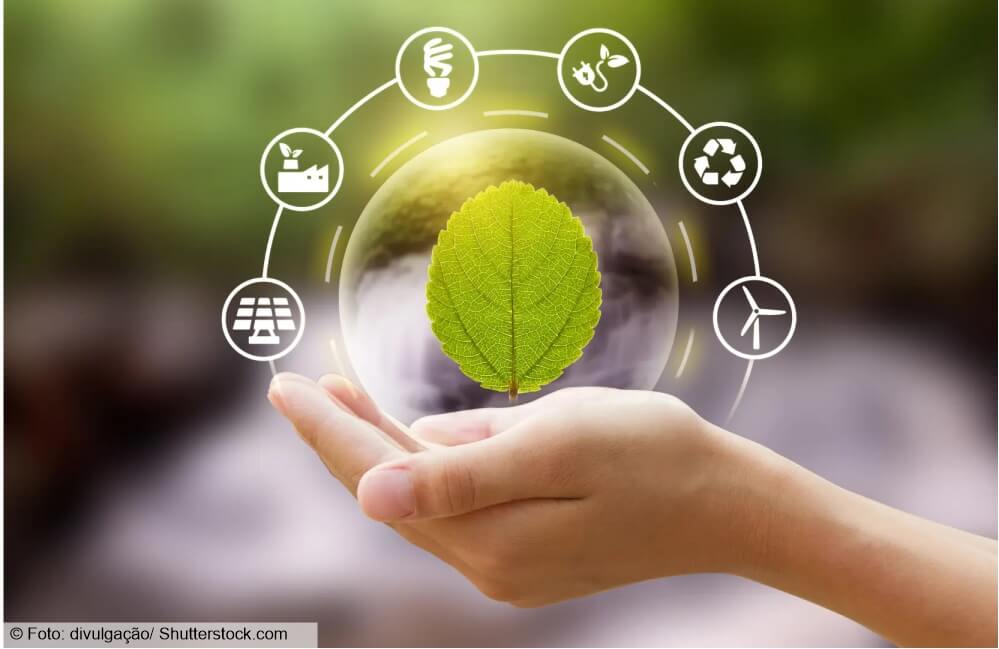 Dia Mundial do Meio Ambiente: somos a “geração da restauração”