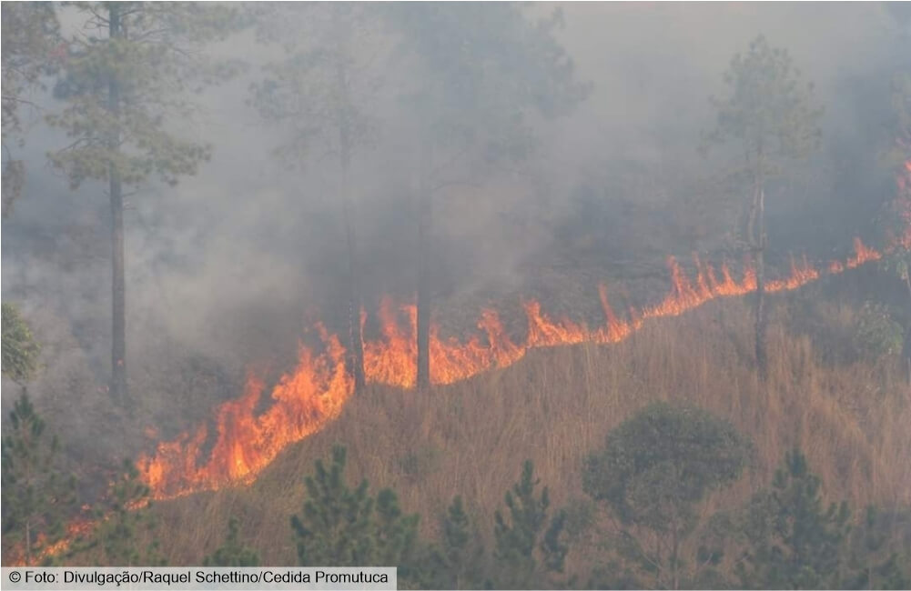 Fogo: atenção e prevenção