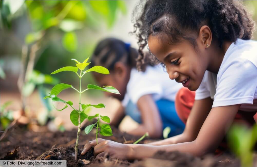 Importância e desafios do ensino da educação ambiental na sociedade contemporânea