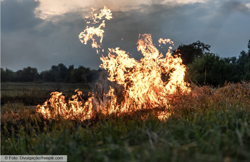 “Incêndios e queimadas é fogo, viu!”