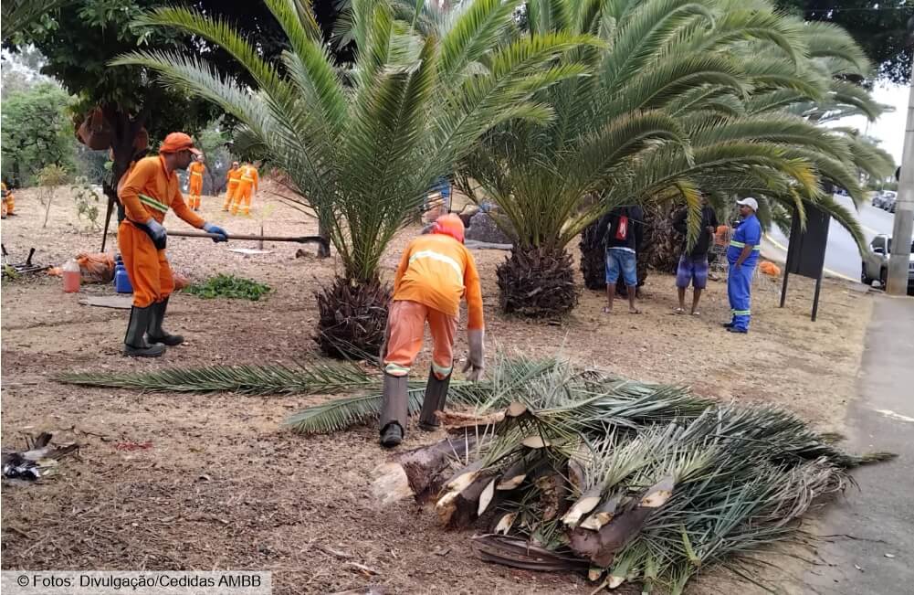 PBH faz operação de limpeza e revitalização urbana em várias ruas do bairro