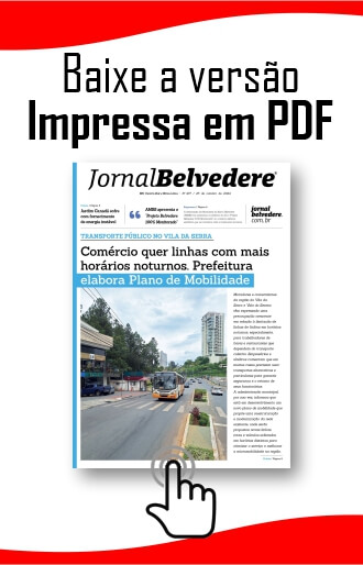 VersaoImpressaPDF