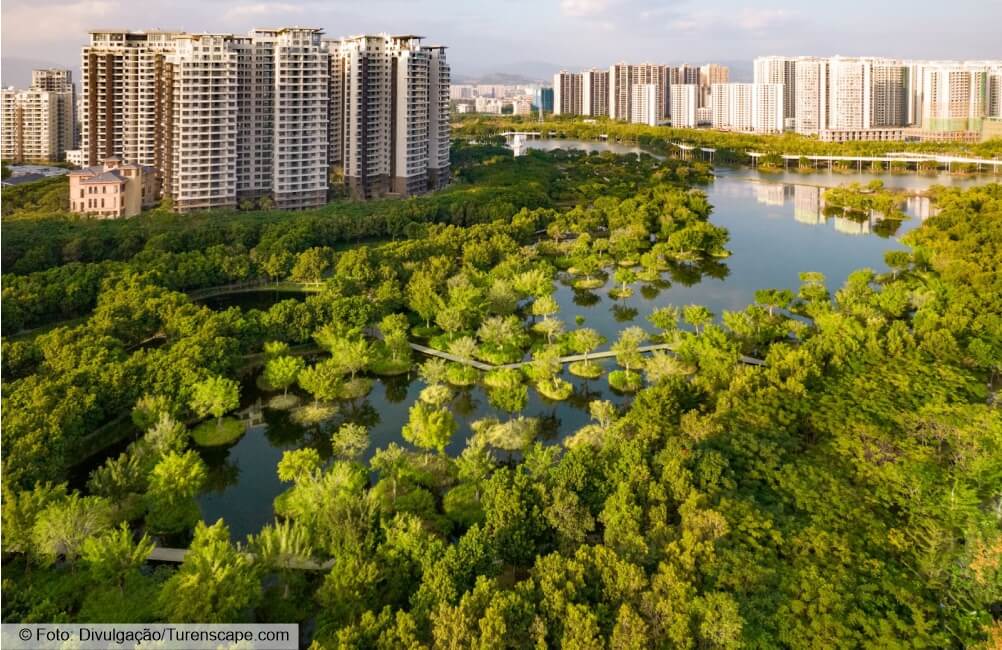 Soluções baseadas na natureza para lidar com as chuvas