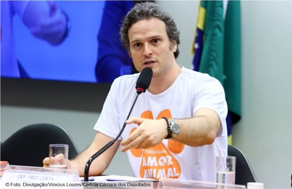 Plano de Transportes Aéreos determina novas regras para o transporte de animais