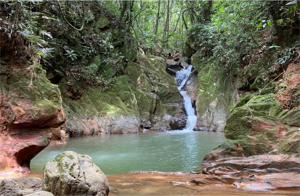 INFORME: Equilíbrio entre desenvolvimento econômico e preservação ambiental e biodiversidade