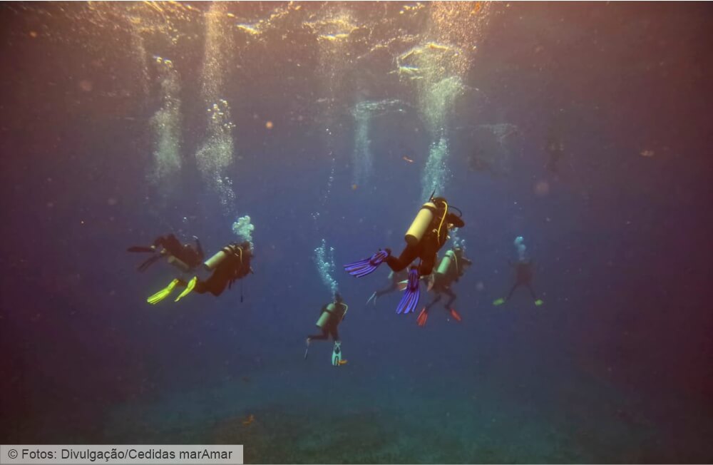 Mergulho em família. Escola cria boas memórias