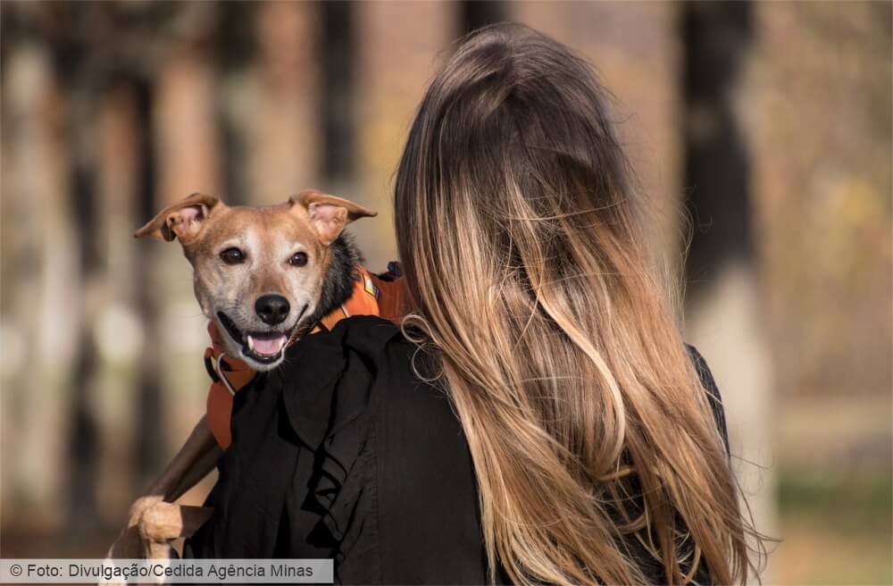 Fevereiro Roxo alerta para doenças degenerativas em animais idosos