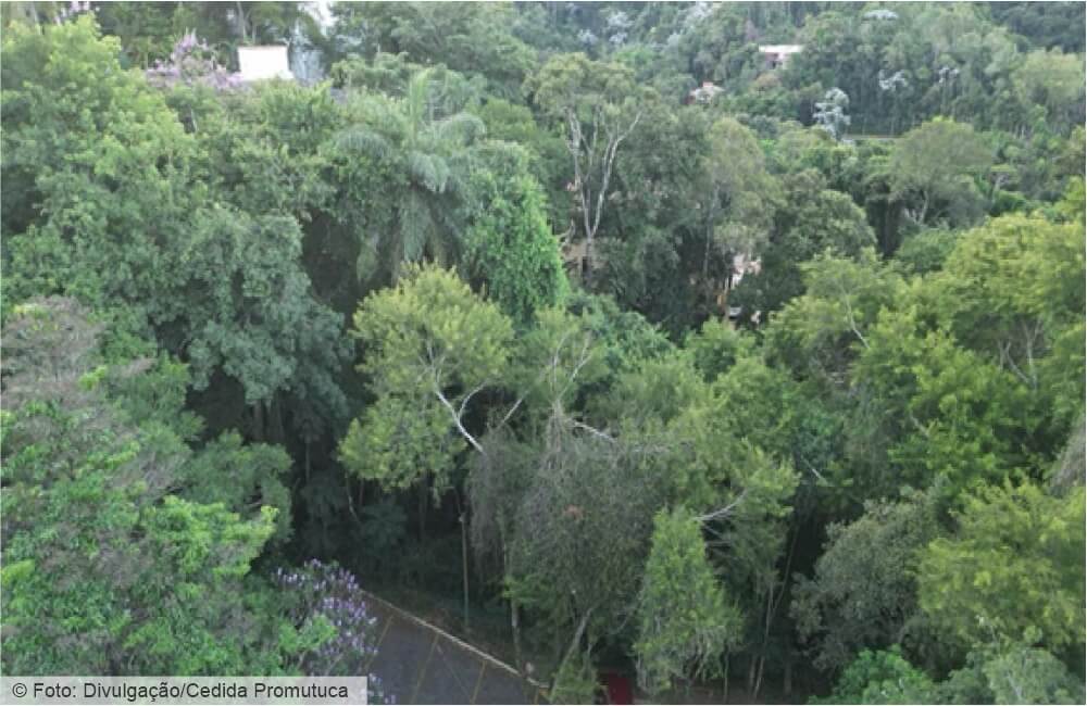 Aprovação de empreendimento pelo Codema deixa moradores do Vale do Mutuca apreensivos