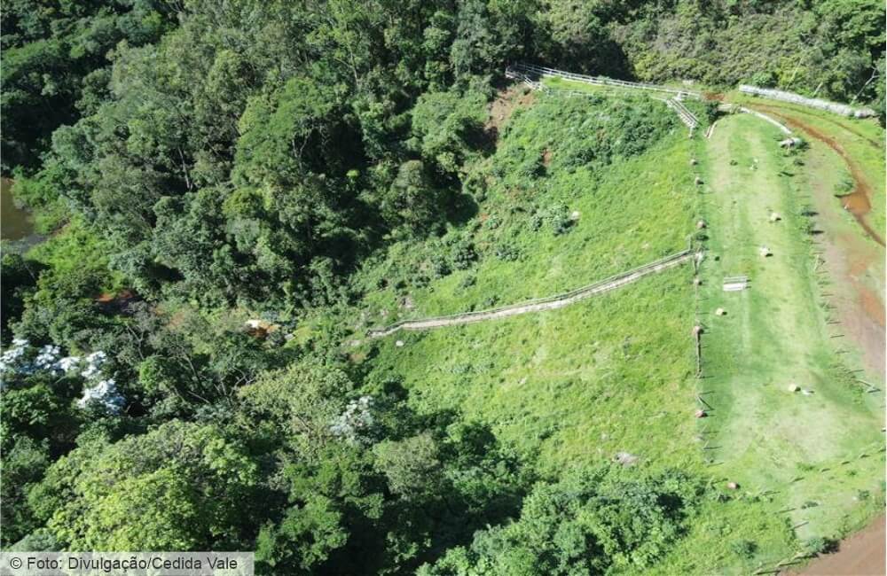 Vale inicia descaracterização de mais uma barragem da Mina de Águas Claras