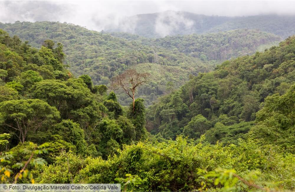 Nova Lima elabora Plano Executivo de Mudanças Climáticas