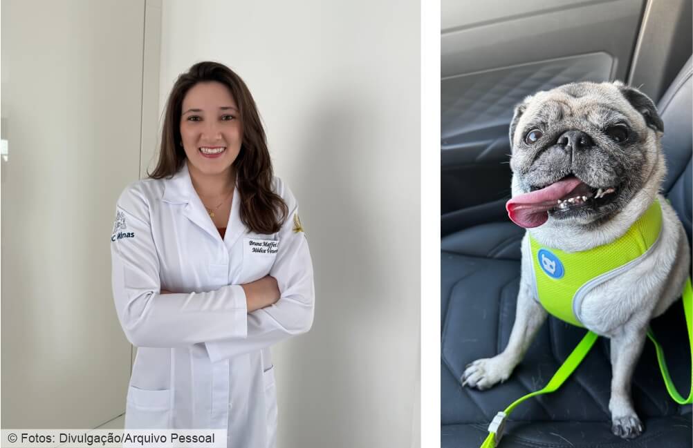 Pets do “focinho achatado” precisam de cuidados especiais de tutores