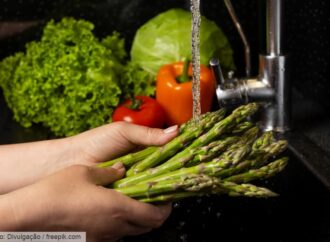 Nexo água-energia-alimento: o que isso significa?