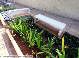 Proposta de implantação da ‘Cidade Esponja’ em BH começa a tramitar