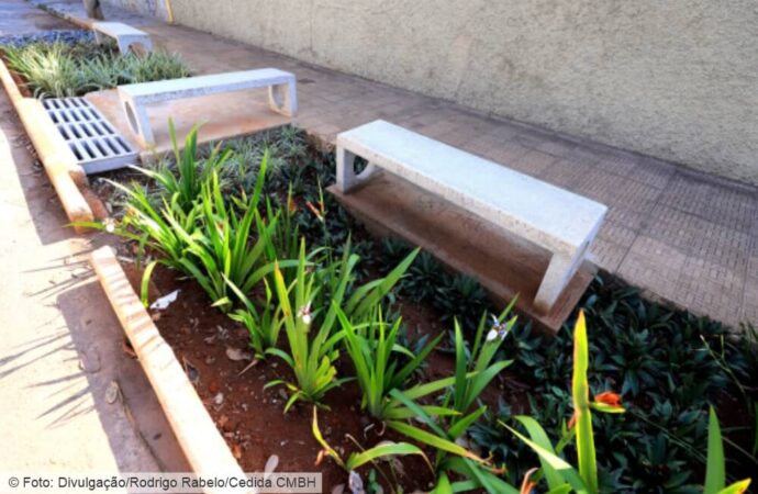 Proposta de implantação da ‘Cidade Esponja’ em BH começa a tramitar