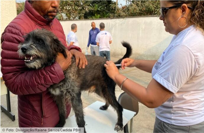 Minas Gerais dá início à campanha de vacinação contra a raiva em cães e gatos