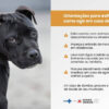 PBH promove imunização de animais contra a doença