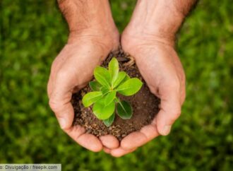Uso não sustentável dos recursos naturais