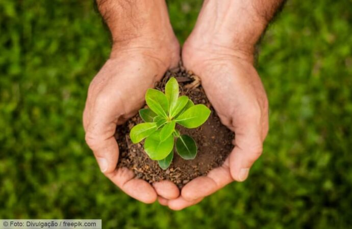 Uso não sustentável dos recursos naturais