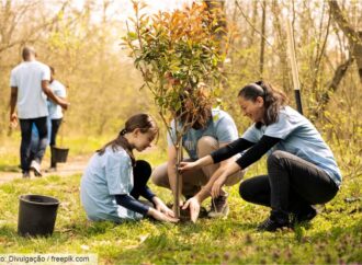 O Papel do Educador Ambiental na formação de cidadãos sustentáveis e na preservação do meio ambiente