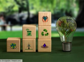 O ENEM e os desafios ambientais: racismo ambiental, crise climática e justiça social