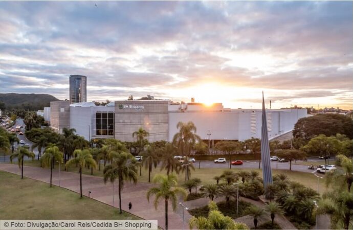 Do pioneirismo à nova era