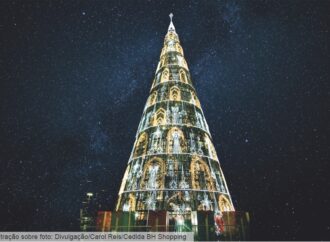 Natal de luz, graça e beleza