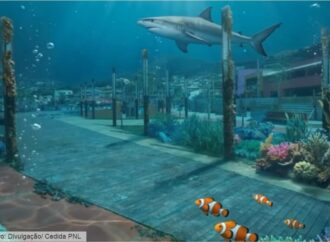 Exposição Mundo Marinho é atração nas férias, em Nova Lima