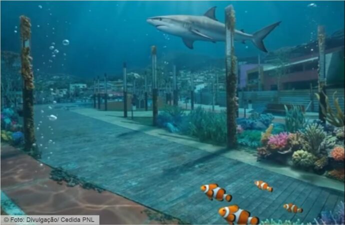 Exposição Mundo Marinho é atração nas férias, em Nova Lima