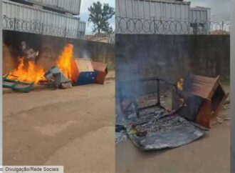 Prefeitura entrega novos abrigos para os cães comunitários no Jardim Canadá