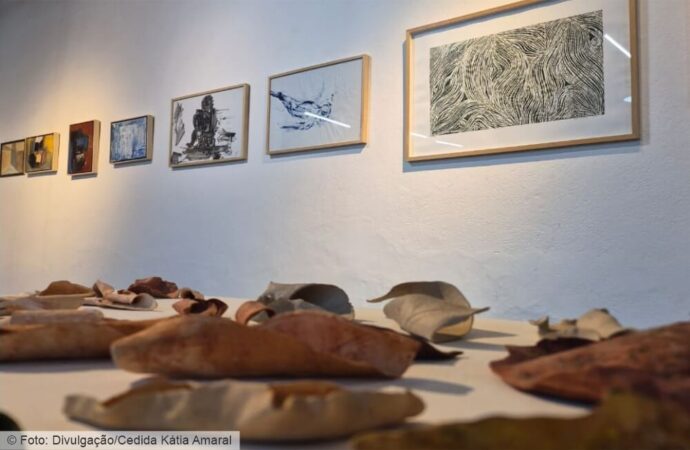 Casa Aristides promove exposição Arte Imaginário, da artista Kátia Amaral