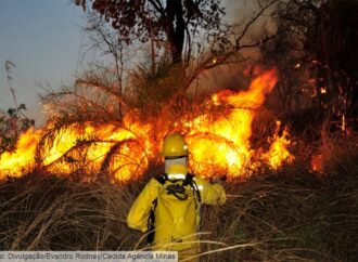 Defesa Civil de Nova Lima reforça treinamento contra incêndios florestais