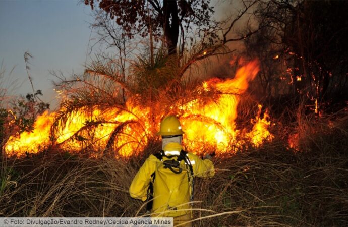 Defesa Civil de Nova Lima reforça treinamento contra incêndios florestais