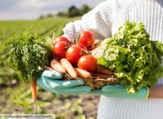 O desafio de alimentar o mundo sem destruir o planeta