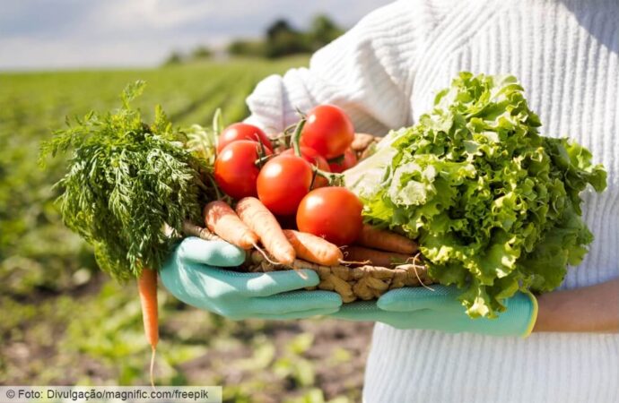 O desafio de alimentar o mundo sem destruir o planeta