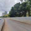 PBH confirma supressão de árvores para obras da alça do Trevo do Belvedere