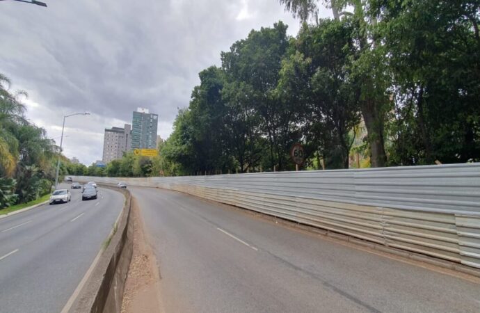 PBH confirma supressão de árvores para obras da alça do Trevo do Belvedere