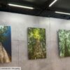 BH Shopping recebe exposição “Olhe para Cima”, do fotógrafo Daniel Mansur