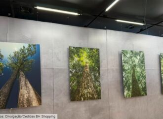 BH Shopping recebe exposição “Olhe para Cima”, do fotógrafo Daniel Mansur