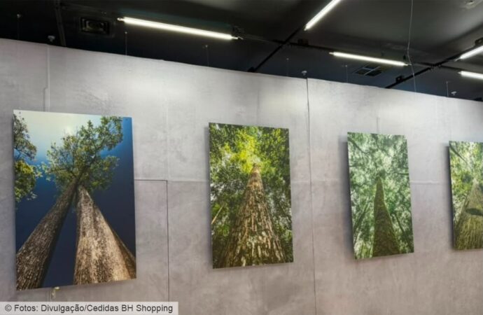 BH Shopping recebe exposição “Olhe para Cima”, do fotógrafo Daniel Mansur