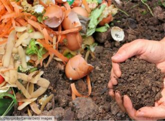 Compostagem Doméstica: uma responsabilidade ambiental em transformar resíduos em adubo