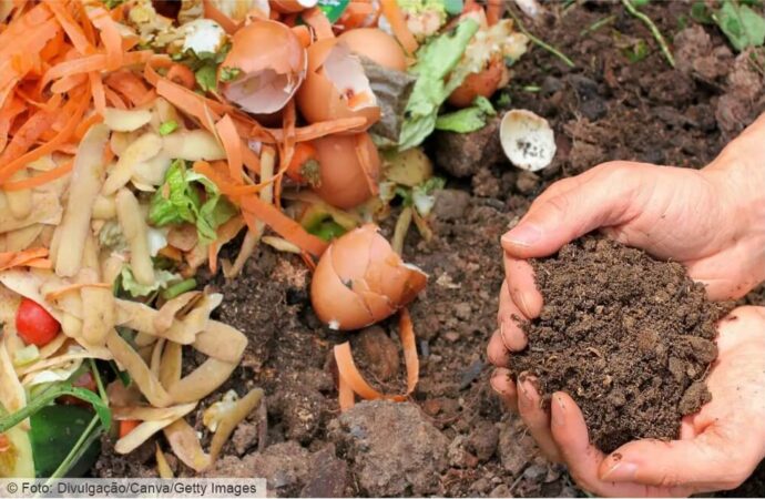 Compostagem Doméstica: uma responsabilidade ambiental em transformar resíduos em adubo