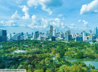 Ilhas de calor: por que as cidades estão ficando mais quentes?