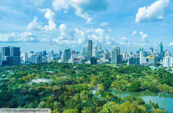 Ilhas de calor: por que as cidades estão ficando mais quentes?